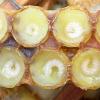 Včelia materská kašička: liečivé vlastnosti, ako užívať a skladovať Ako sa volá materská kašička