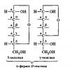 Formes cycliques de monosaccharides