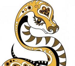 Si hakmerret gjarpri sipas horoskopit