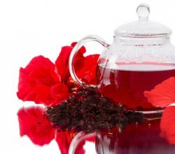 Как правильно заварить, лечебные свойства холодного и горячего чая из гибискуса
