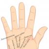 Decodificarea liniilor de pe palmă
